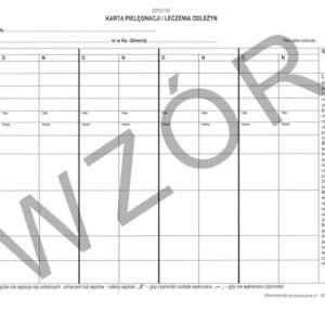 ZPO/19 Karta pielęgnacji / leczenia odleżyn A4b/bl.100k