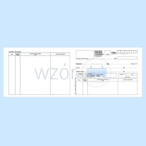 MZ/OG-2 Historia zdrowia i choroby - ambulatorium 2xA5c/ 100/500szt