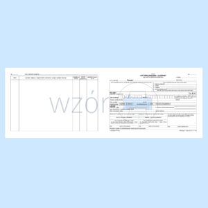 W-262 Historia zdrowia i choroby 2xA5c/100szt