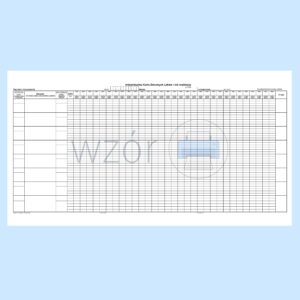 ZPO/20 Indywidualna karta zleconych leków 297x610mm/100szt